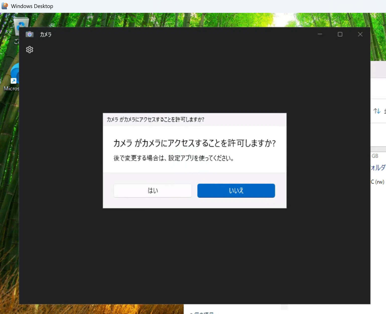 image-20260217114811071.png