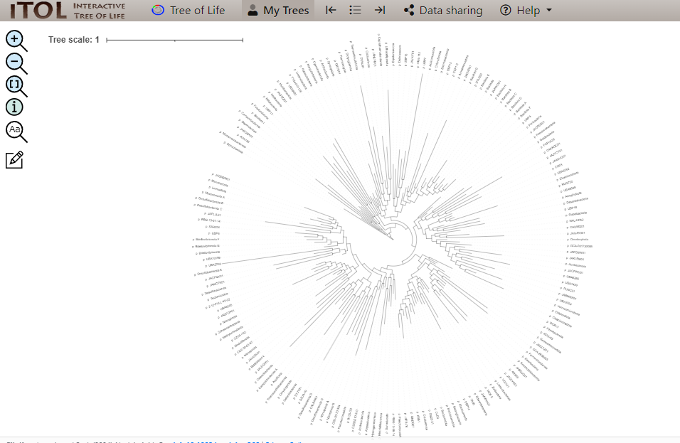 スクリーンショット 2024-07-27 025123.png