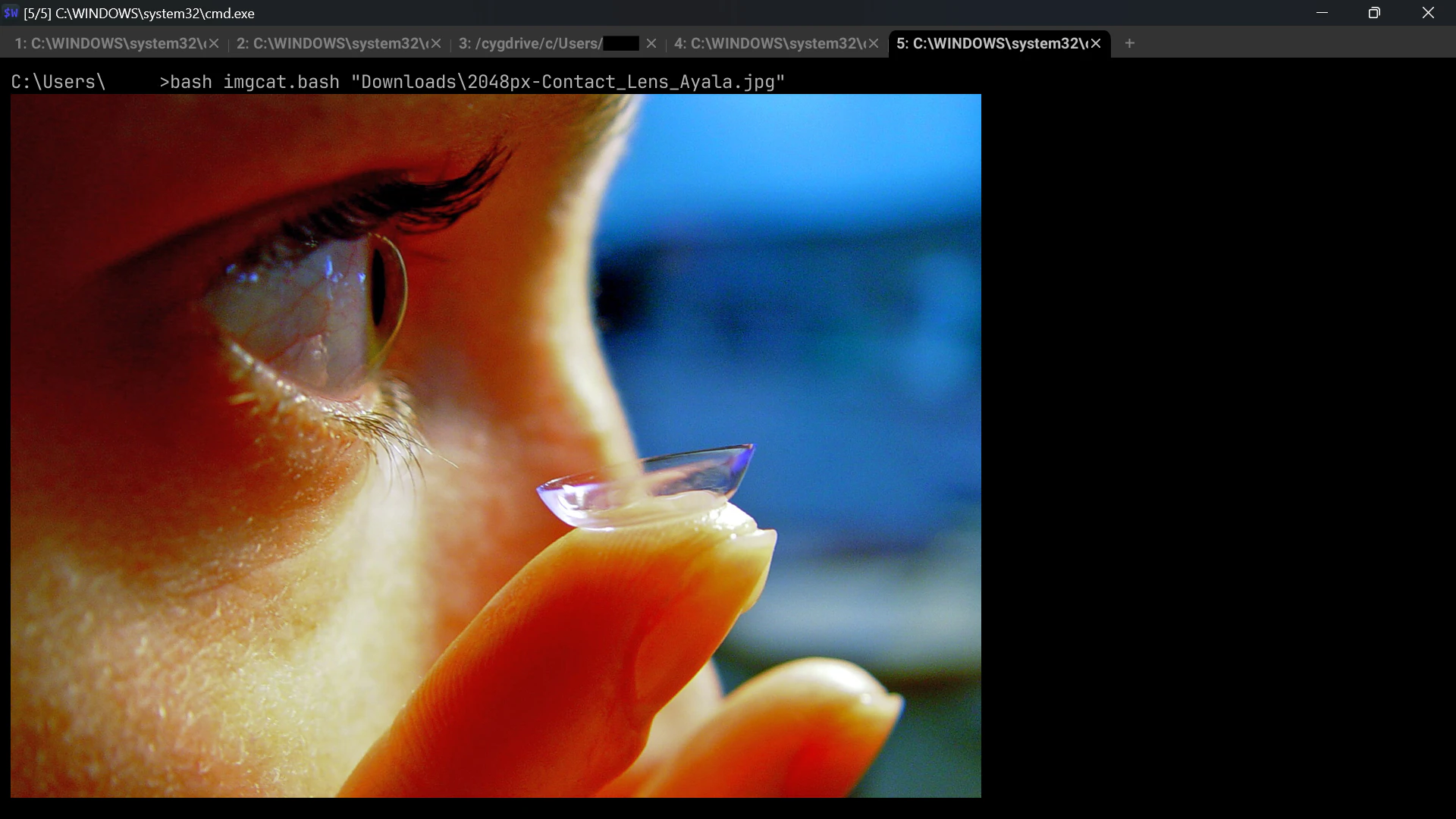 Wezterm上でjpg表示