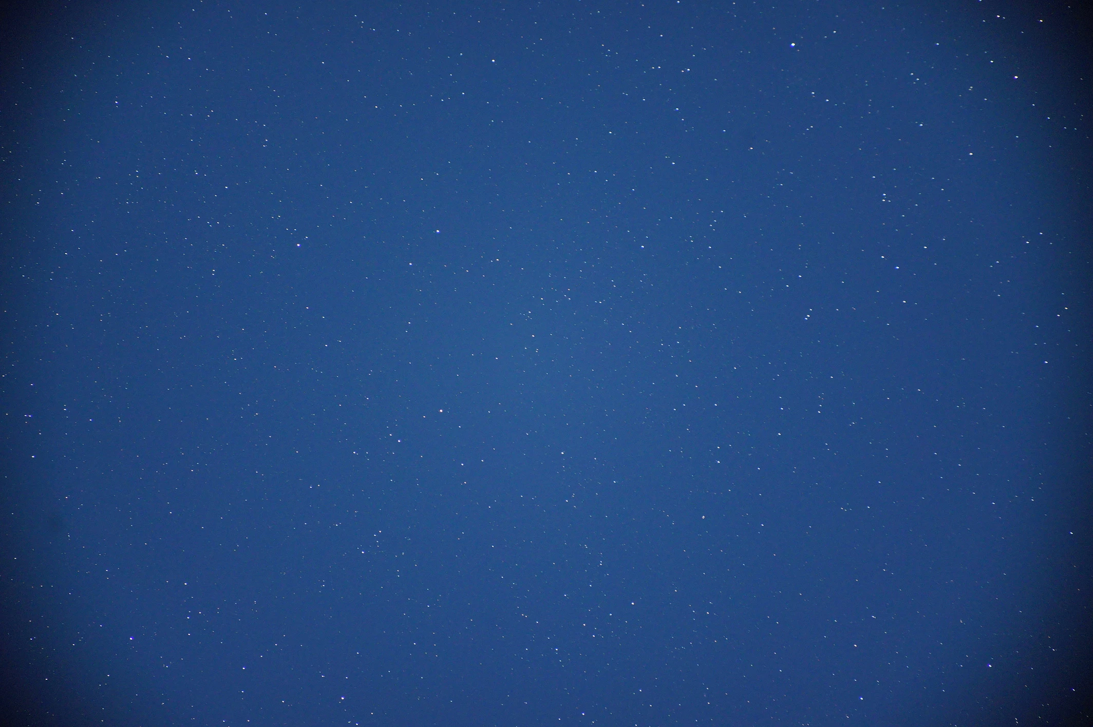 DSC01340.JPG