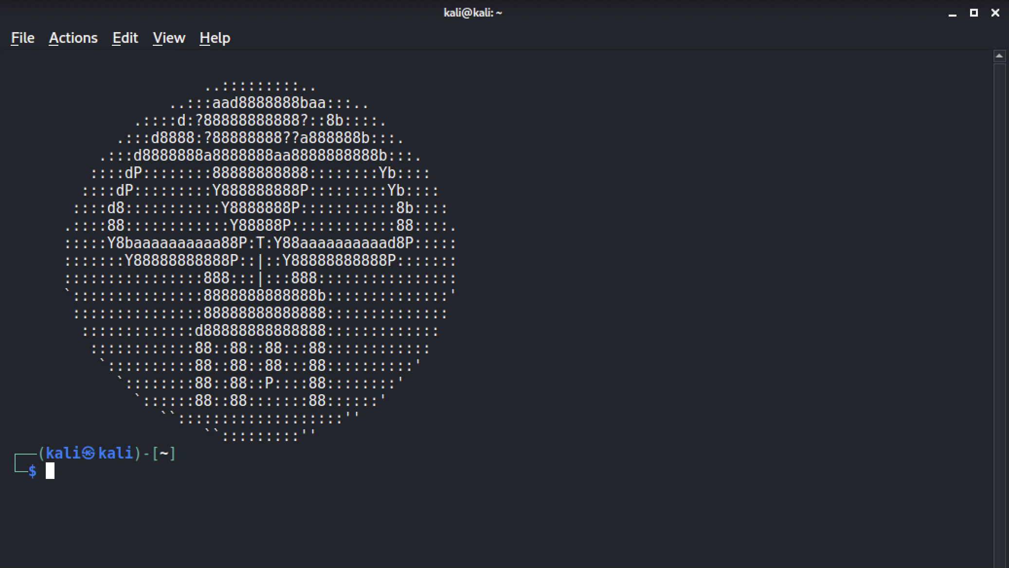 skull_big.jpeg