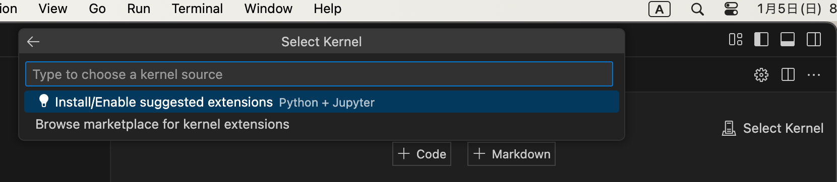 vscode_jupyter.png