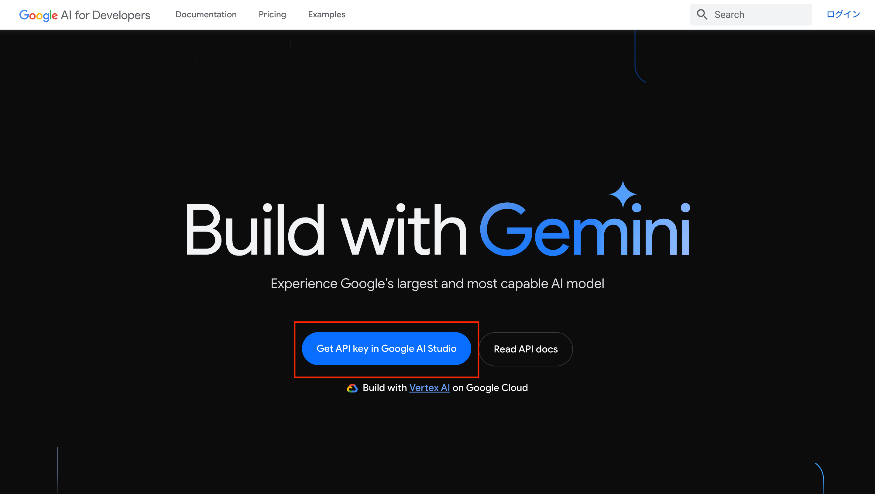 FireShot Capture 033 - Build with the Gemini API  -  Google AI for Developers - ai.google.dev.png