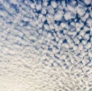 "高積雲"