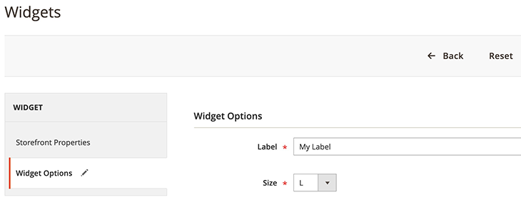 custom-widget-options.png