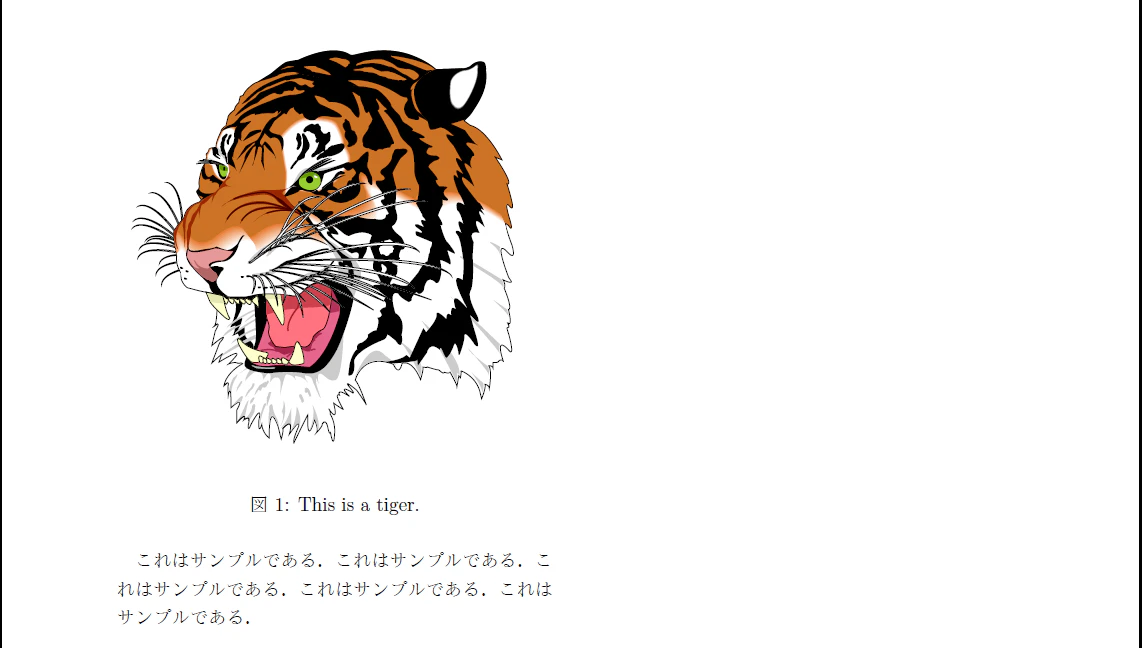 tiger_singlespace_pdf