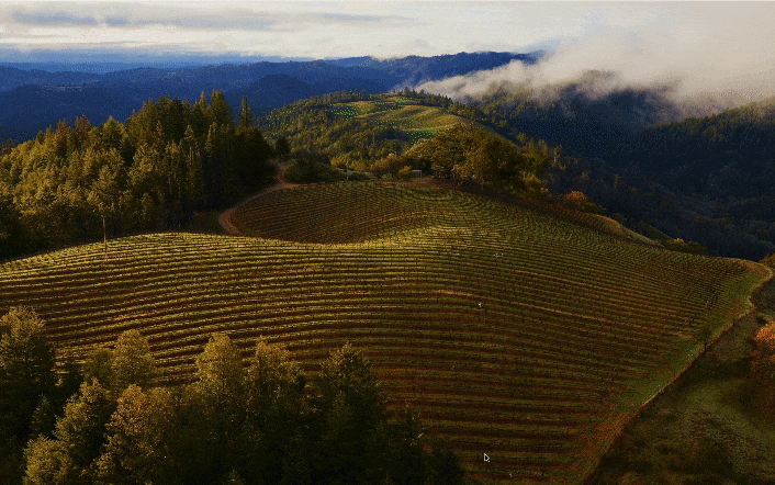 画面収録 2024-07-07 22.24.53.gif