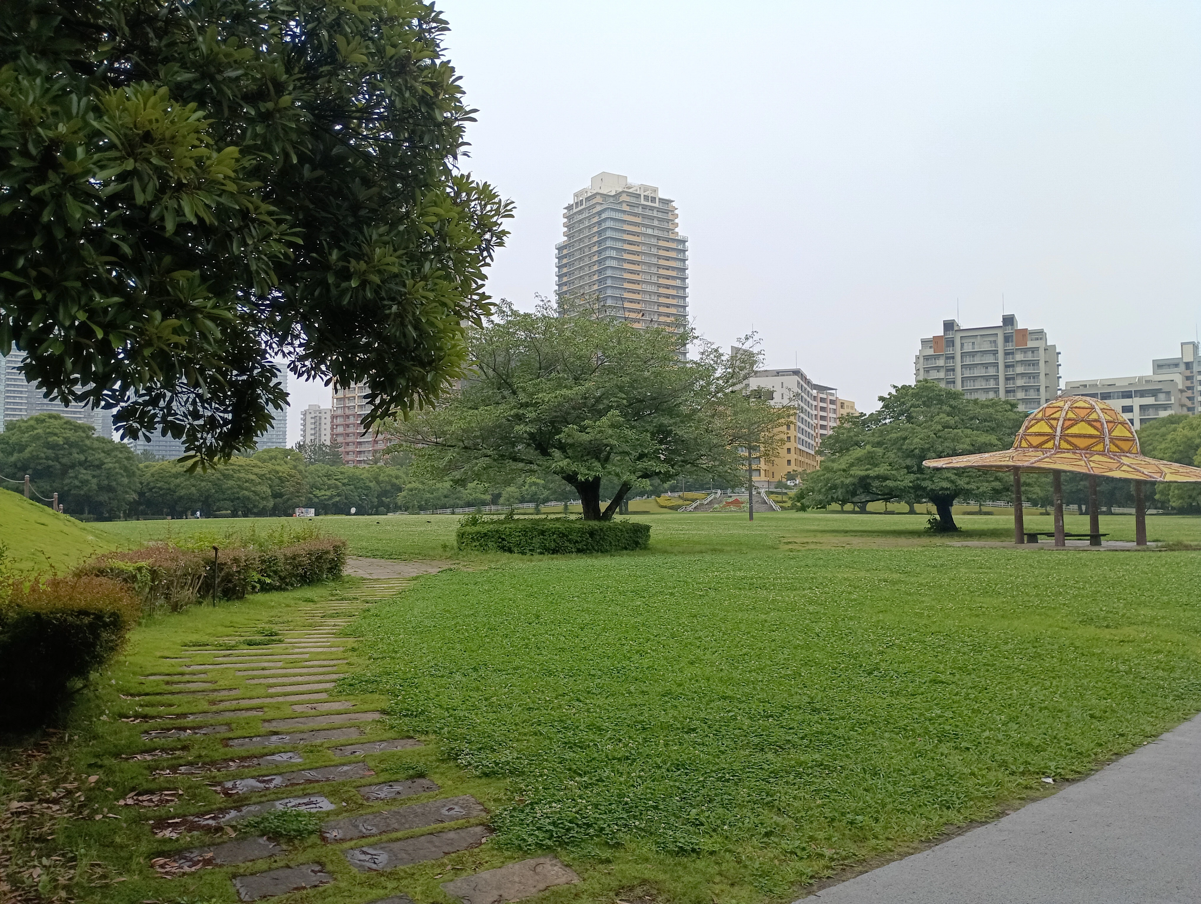 IMG_20260626_085206_1 (2).jpg
