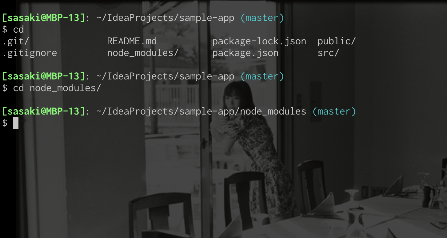 bash.png
