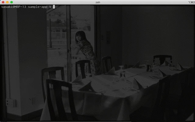 zsh.gif