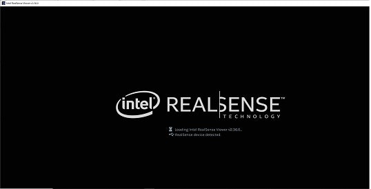 RealsenseViewer.jpg