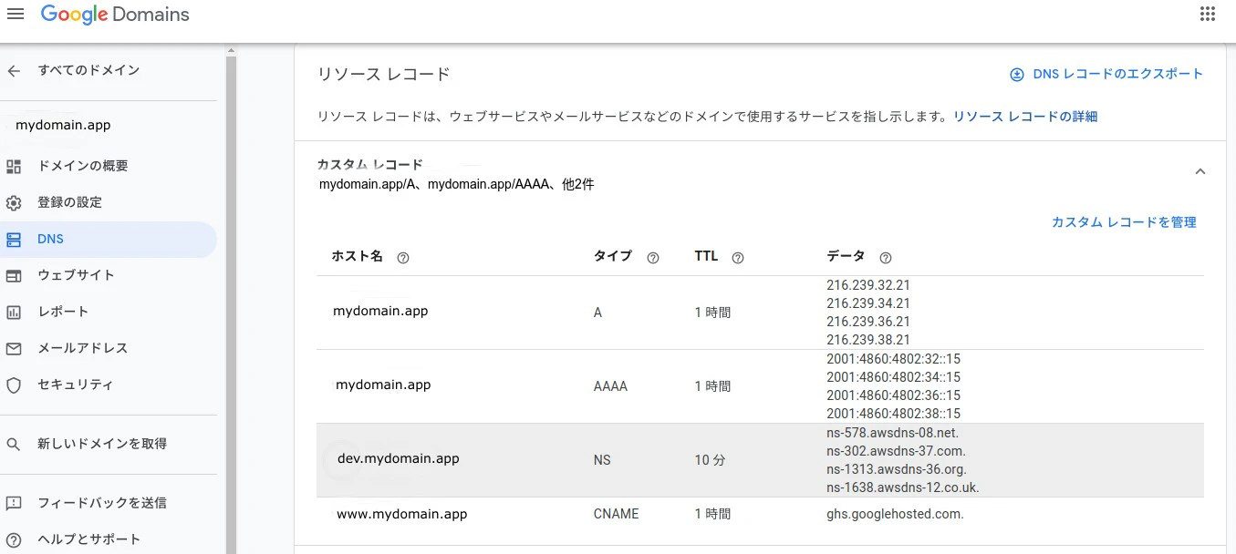 GoogleDomainsCustomRecord (1).jpg