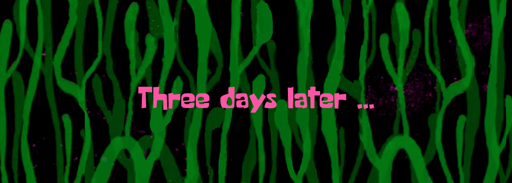 CleanShot 2024-12-06 at 22.18.13.png