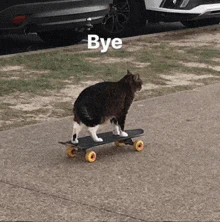 cat-cute.gif