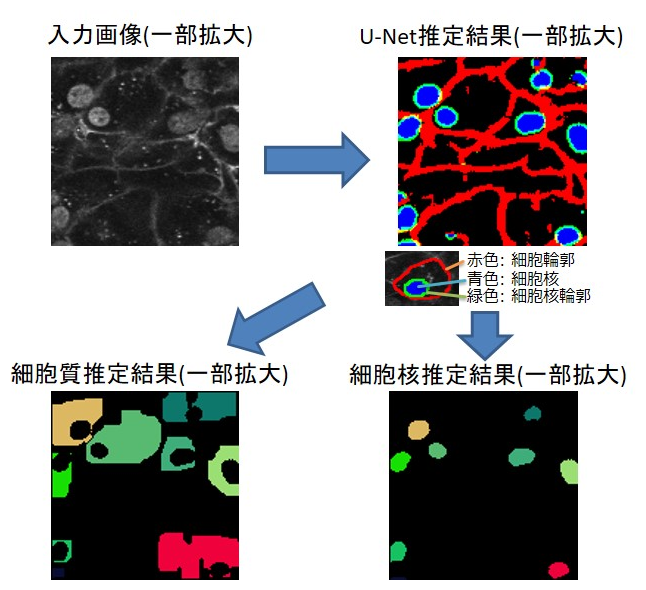 結果(一部) 結果(一部)
