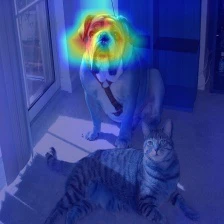 gradcam_relu_resize.jpg