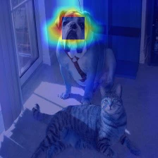 gradcam_resize_relu.jpg
