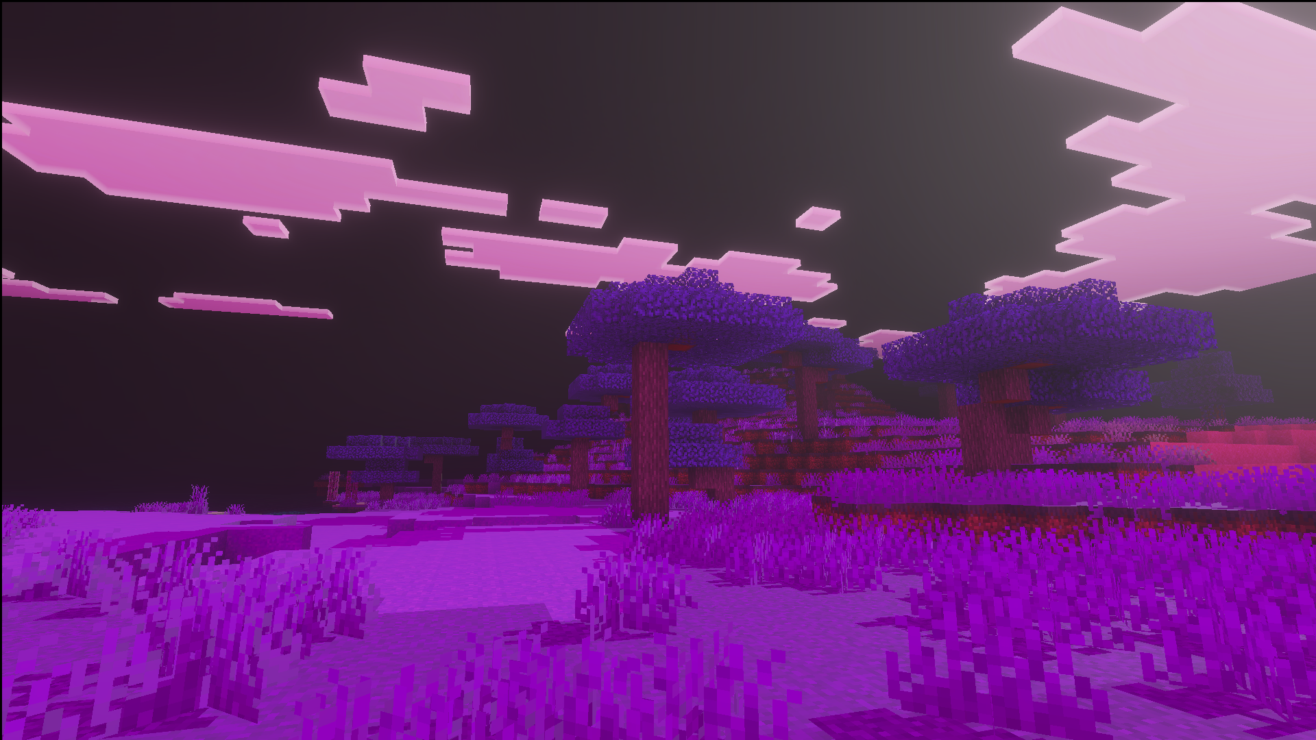 バイブラントビジュアルズ