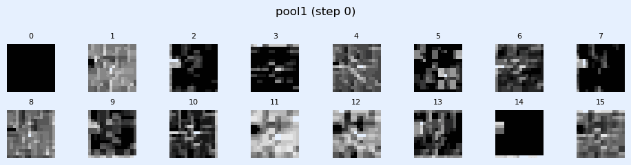 pool1_fmap_evolution.gif