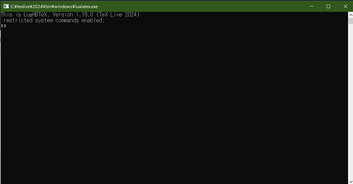 Pathを正常に指定できており、lualatex.exeが起動できた場合のウィンドウ