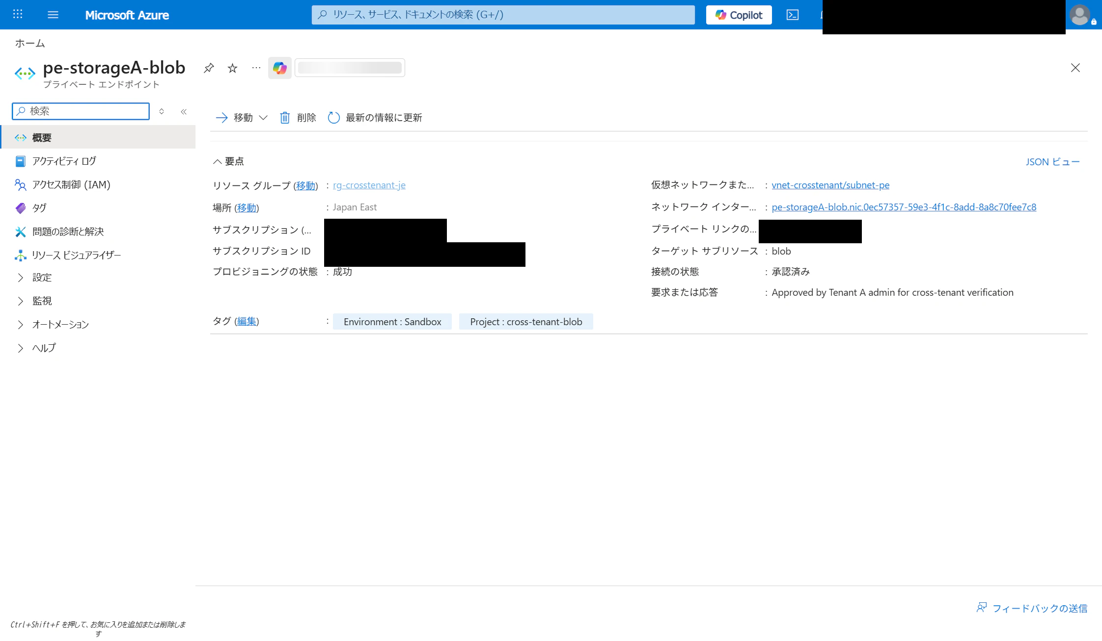 クロステナント PE が承認済み(Tenant B 側)