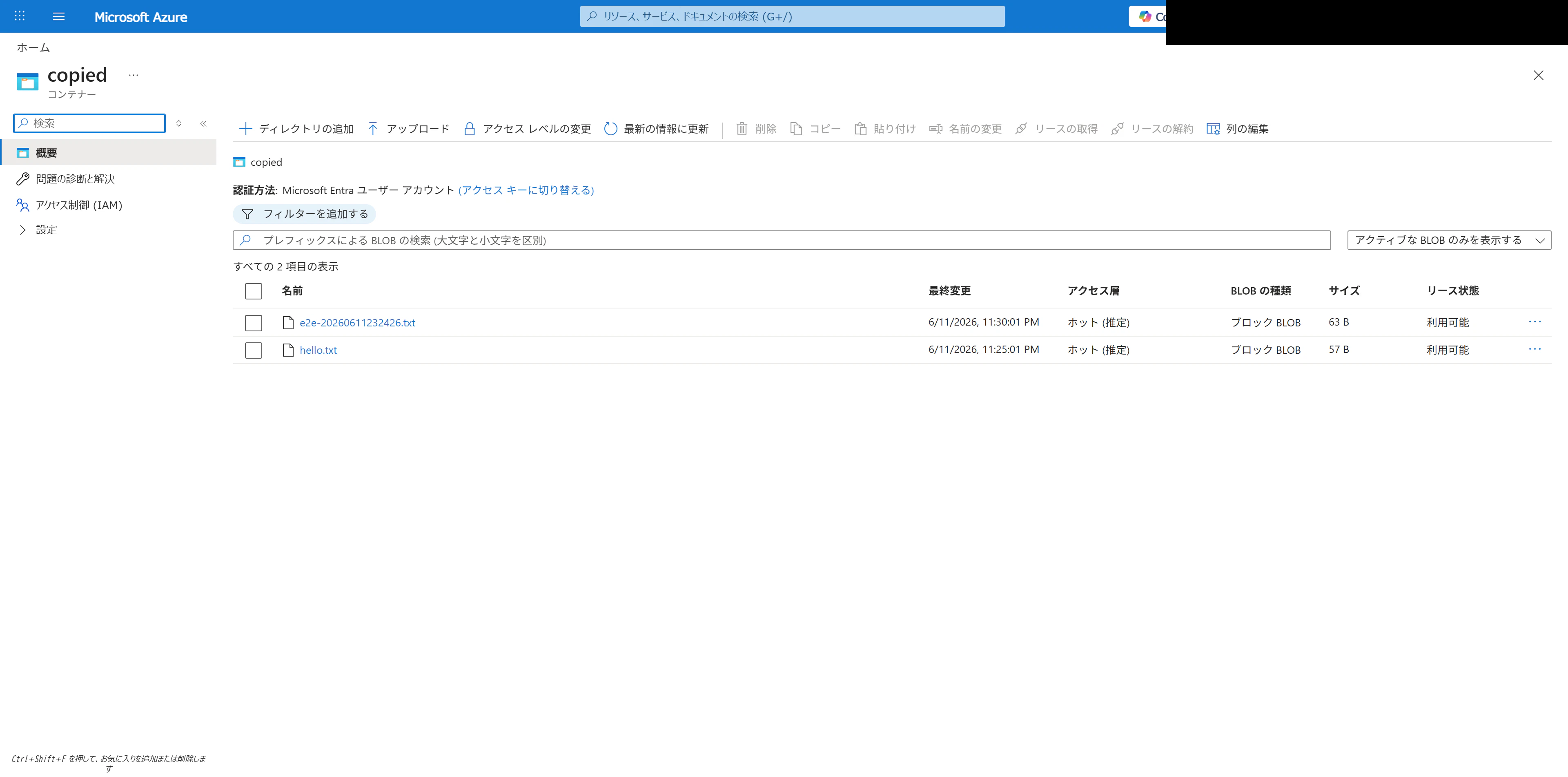 Tenant B の copied コンテナにコピーされた Blob