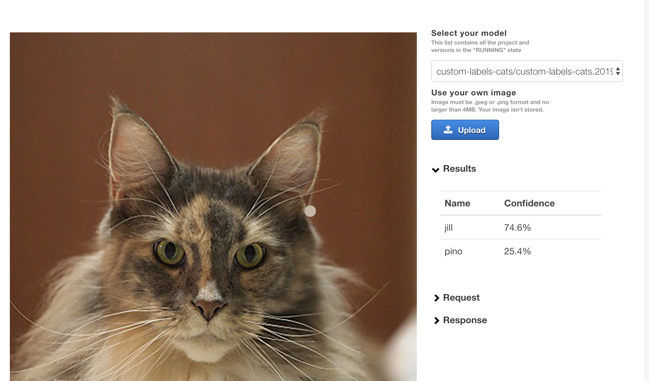 スクリーンショット 2020-01-01 17.36.52.png