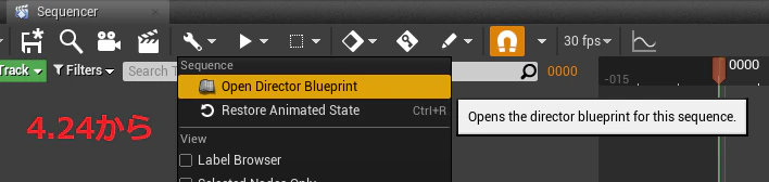 OpenDirectorBP_UE4.24.png