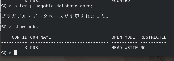 Oracle Database Install