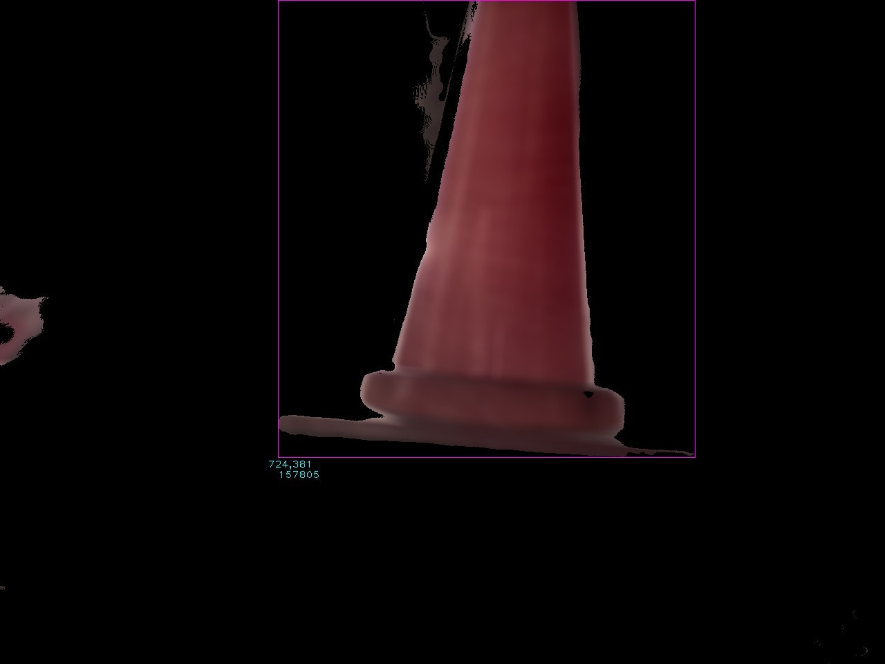 最大面積のラベルを取り出した画像