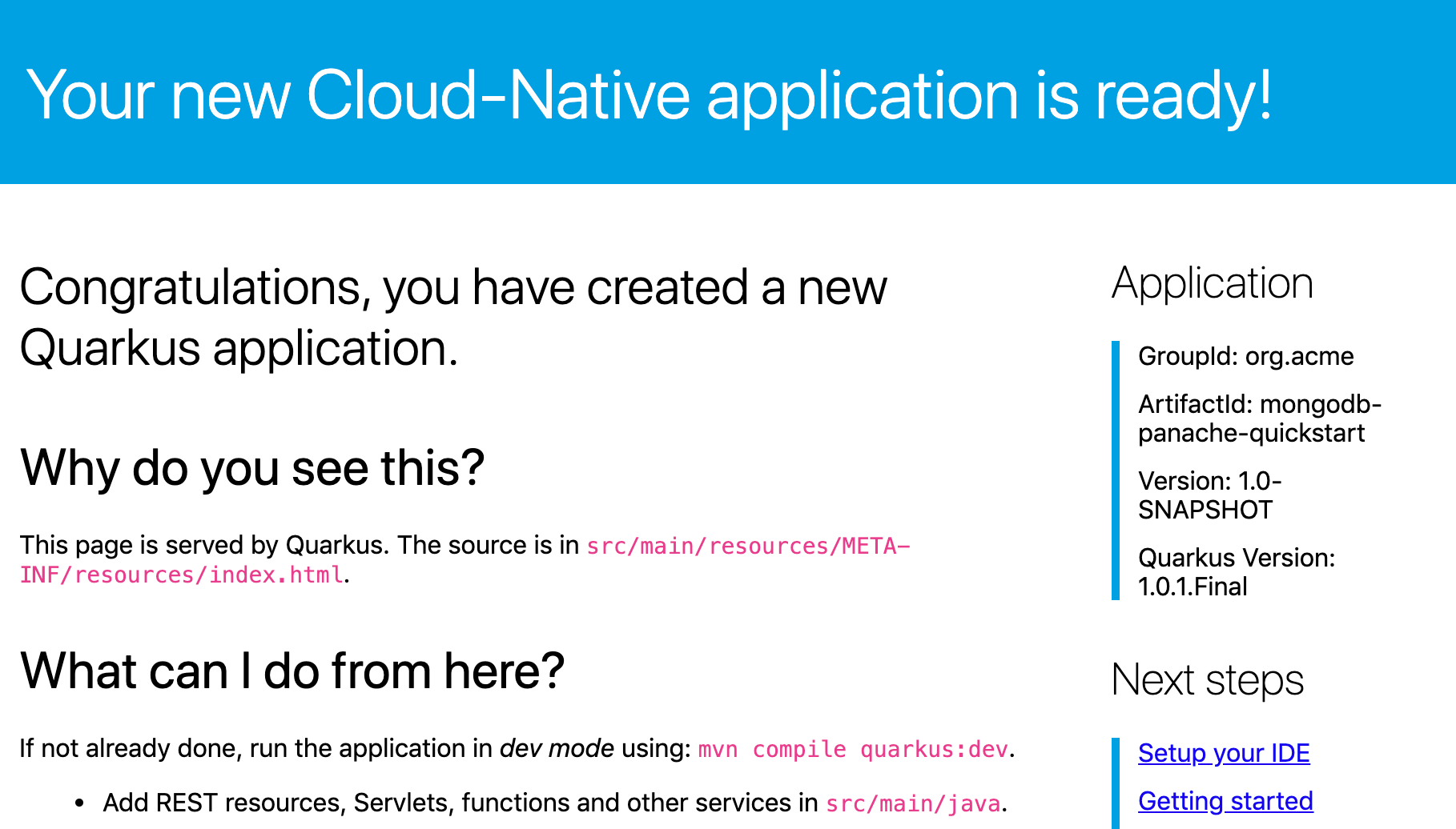 mongodb-panache-quickstart - 1 0-SNAPSHOT.png