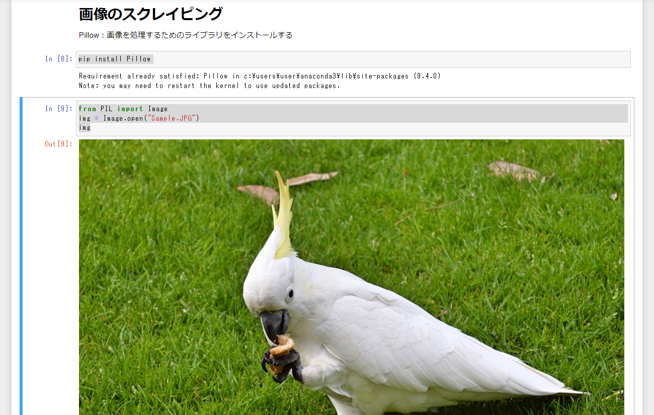 スクリーンショット 2023-05-09 143705.png