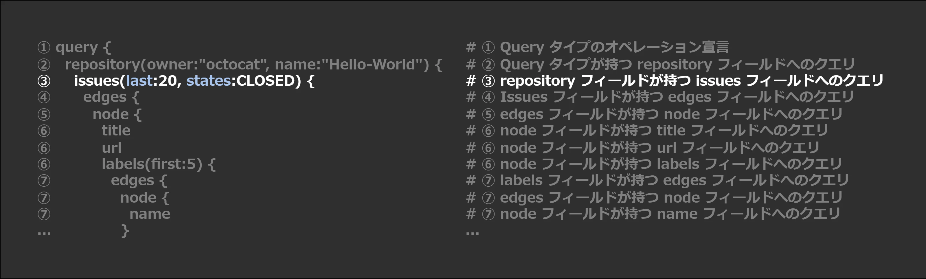 はじめてのGitHub-GraphQL_issues.png