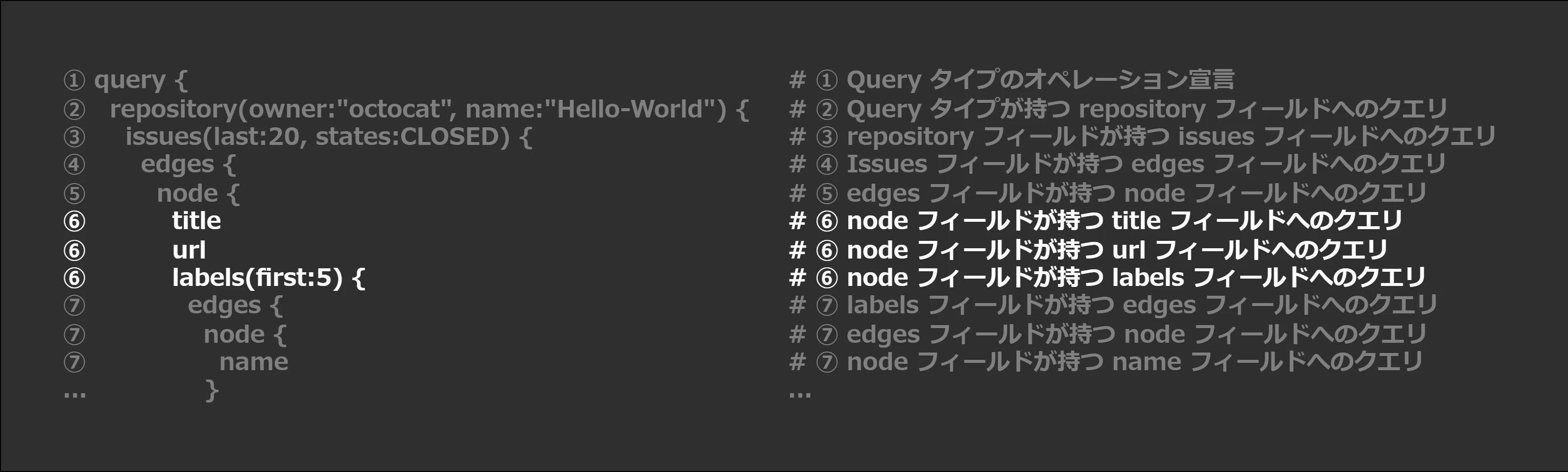 はじめてのGitHub-GraphQL_issue_fields.png