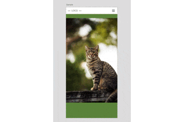 gif02.gif