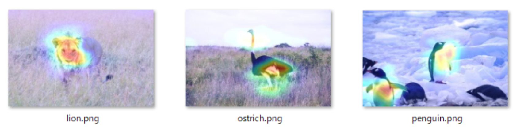 lion.png
