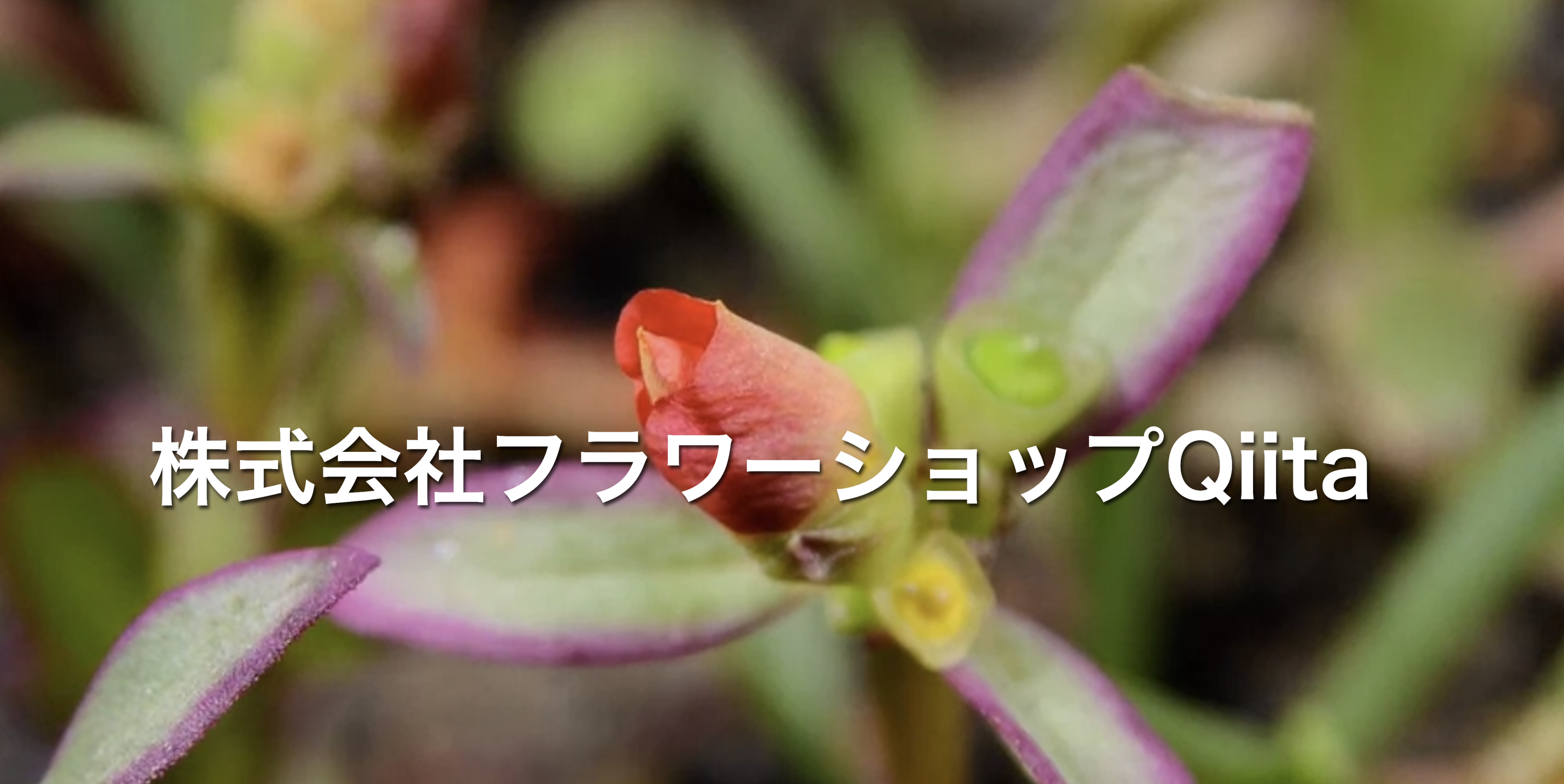 スクリーンショット 2024-12-25 16.37.15.png