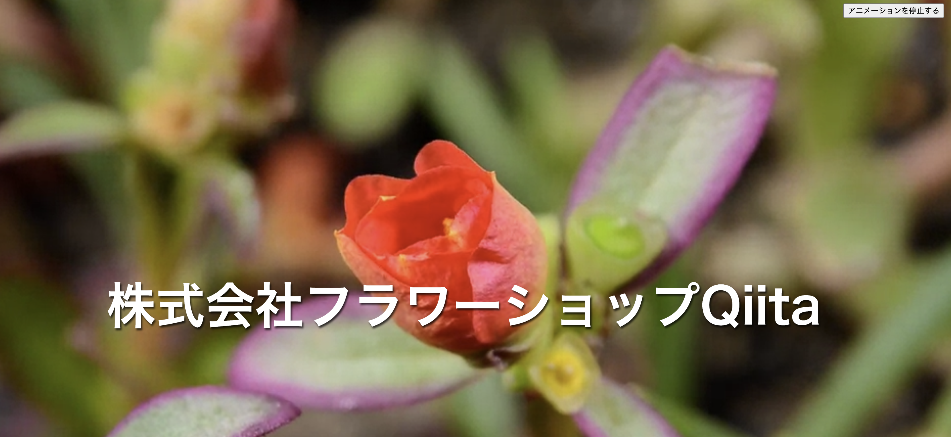 スクリーンショット 2024-12-25 17.19.52.png