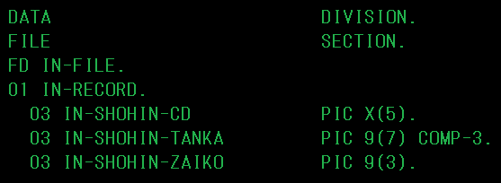 COBOLのデータ定義イメージ図