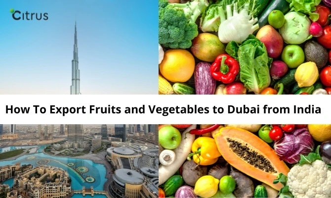 how-to-export-fruits-and-vegetables-to-dubai-from-india.jpg