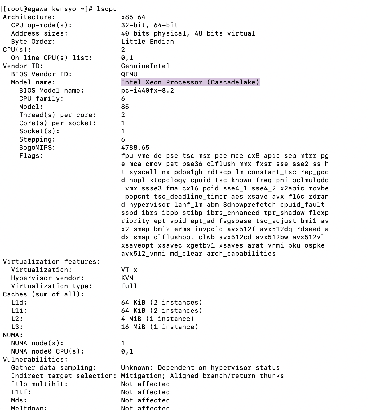 スクリーンショット 2025-12-12 15.00.27.png
