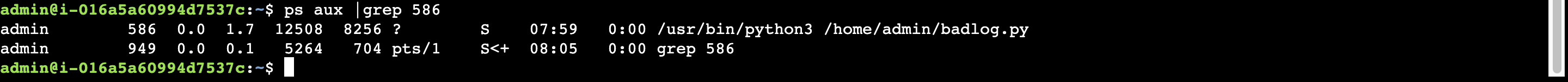 スクリーンショット 2024-11-13 17.05.18.png