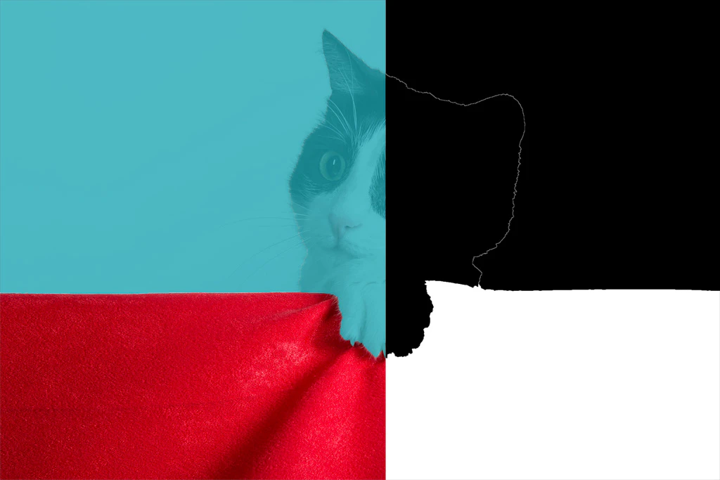 246557781183.jpg
