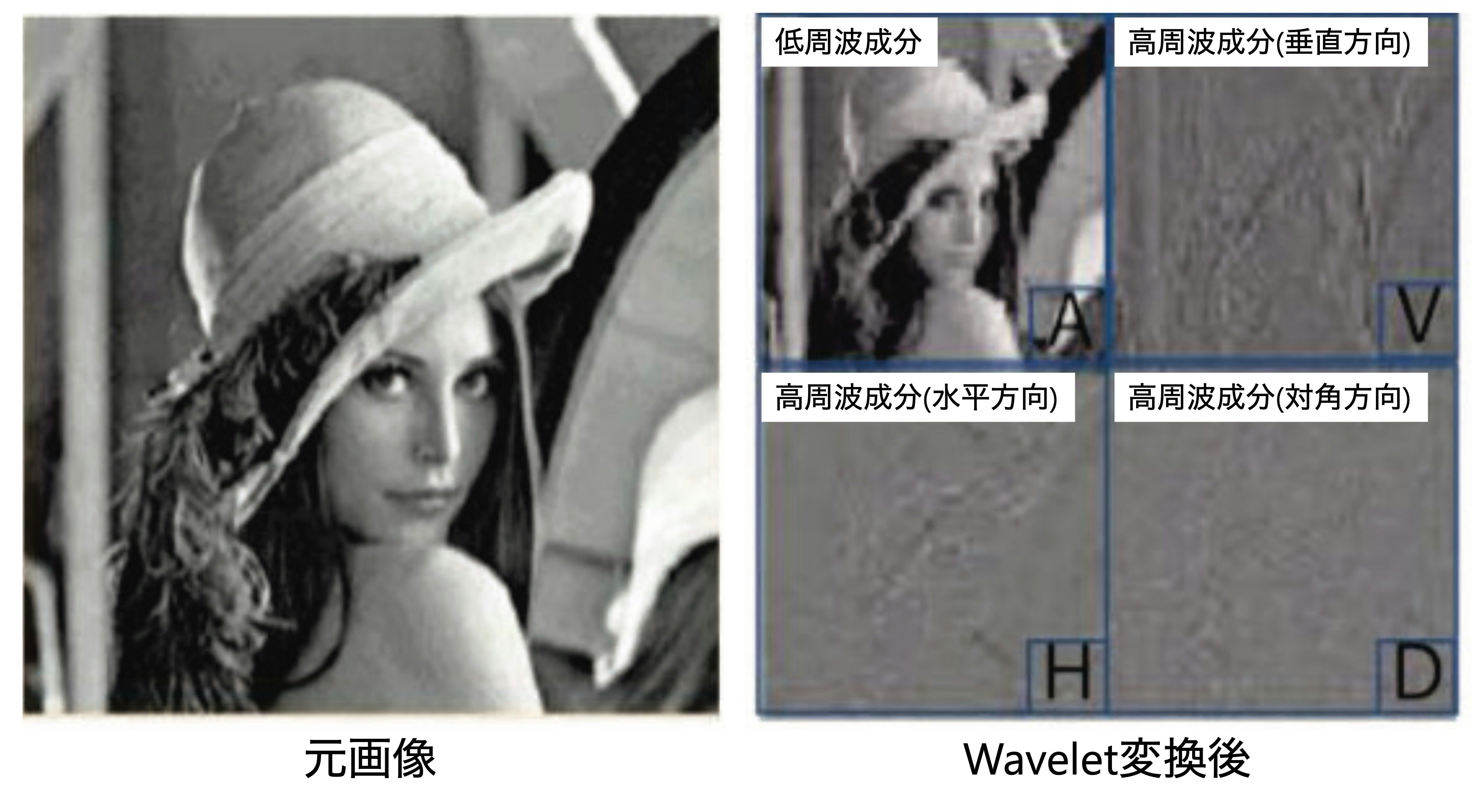 Wavelet変換.jpg
