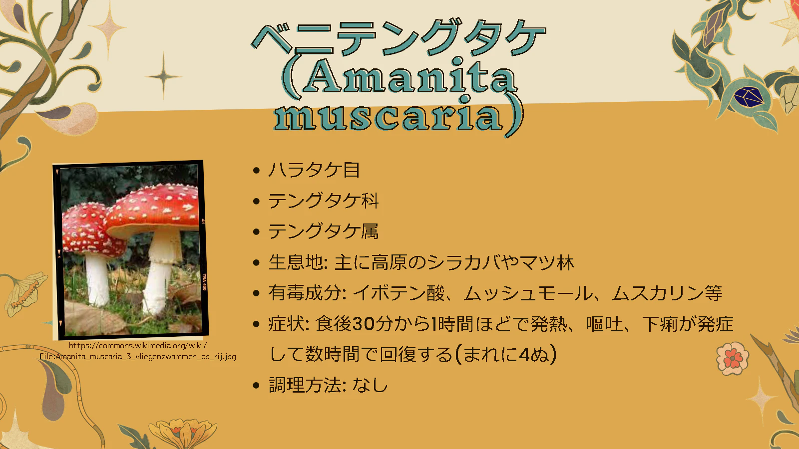 スクリーンショット 2023-12-20 223528.png