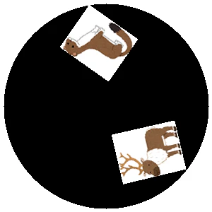 card_1.png