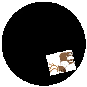 card_0.png