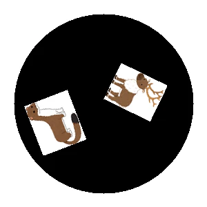 2.png