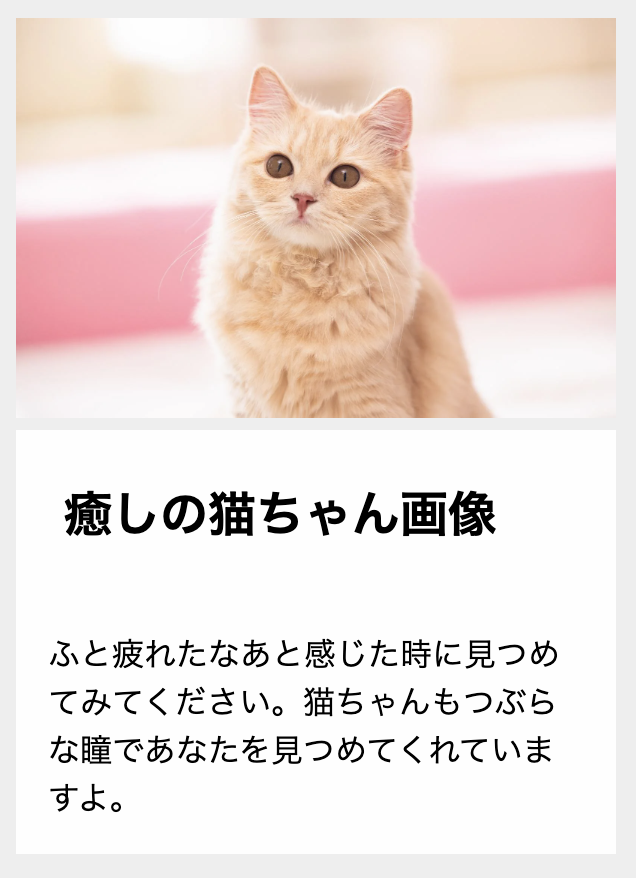 スクリーンショット 2024-08-22 14.43.34.png