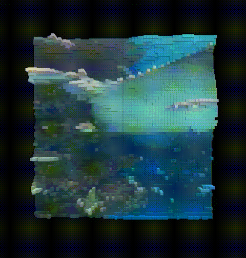 gen.gif